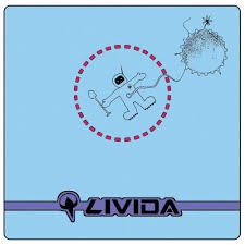 Taikonauten | 306 followers on linkedin. Livida Die Taikonauten 2006 Cd Discogs