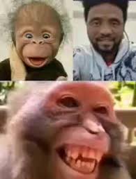 #eritreantiktok #ኣግኣዝያናውያን #eritreantiktok🇪🇷🇪🇷habesha #ሃገርሓማሴን  #ሓማሴን♥️🦁 #ሃገርይ