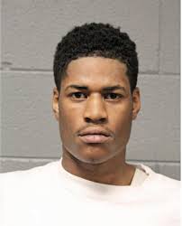 ᐅ Illinois Criminal Records 2009-2026