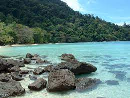 Pokok yang tinggi menjadi habitat untuk haiwan seperti kera, burung, lebah, kelawar dan tupai terbang. Pulau Tioman Wisata Malaysia Aneka Tempat Wisata