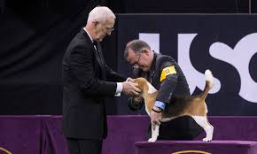 Biggie the pug, slick the border collie, lucy the borzoi and flynn the bichon frisé. Westminster Dog Show Judge On Why It S Hard To Declare Best In Show