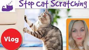 To keep their claws healthy. Ø®Ù„Ù‚ Ø¬ÙŠÙ…Ø³ Ø¯Ø§ÙŠØ³ÙˆÙ† Ù…Ø³Ø¯Ø³ How To Prevent Cats From Scratching Leather Sofa Designedbysea Com