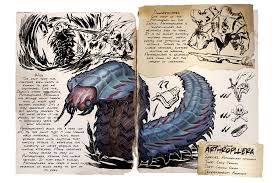 Image result for Arthraerua