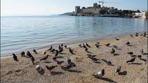 69457 ziyaretçi kumbahçe sahili ziyaretçisinden 9627 fotoğraf ve 154 tavsiye gör. Bodrum Muhabiri Kumbahce Sahili Facebook