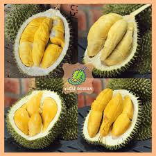 Durian udang merah, pengat serawa, fried durian, durian cake | eating show w/ asmr. 4leaf Durian Assorted Combo A 100 Fresh Shopee Malaysia