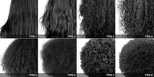 Diversity Of Hair Types L Oreal Group Hair Type Chart Black Hair Curls Hair Type