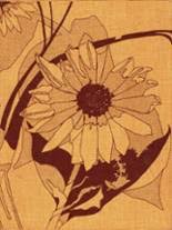 Sheila Hite from Hays High School