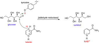 Image result for Sorbitol