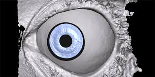 Image result for artistic divergence eyeballs