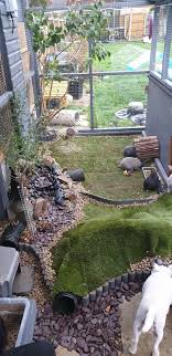 Epingle Par Vanessa Borja Sur Benebenes En 2020 Clapier Lapin Exterieur Lapin Interieur Clapier Lapin