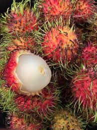 'rambut' is a malay word that means 'hairs', hence it gets its name because of the thorn like appearance of its fruits. Tropical Fruits Of Indonesia A Journey Bespoke