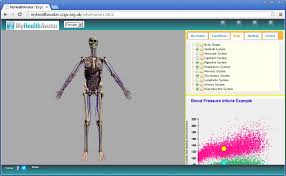 Together they comprise the female reproductive system. Part Selection Shows The Skeleton And Internal Organs Of The Female Model Download Scientific Diagram