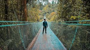 Main Ke Jembatan Gantung Terpanjang Di Indonesia 3 Tempat Keren Diseki Jembatan Gantung Indonesia Danau