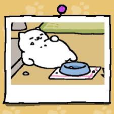 James Marohn (@jamarohn)