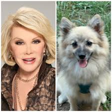 Why TF my daughter said this look like Steve Harvey 😂😂😂😂