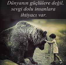 Benim Gibi Gucluyum Gucluyuz Inanc Sevgi Calis Iletisim Kur Evrene Durustce Pozitif Msj Gonder Ve Akisa Bira Inanc Hayvanlar Komik Hayvan
