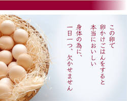 烏骨鶏の卵の画像