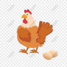 085227902020 indiksi obat ayam dragon sn: Tangan Kartun Yang Ditarik Tangan Ayam Tua Bertelur Gambar Unduh Gratis Imej 611017442 Format Psd My Lovepik Com