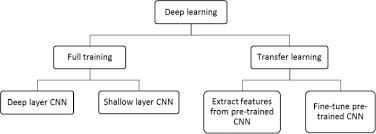Hybrid Transfer Learning For Classification Of Uterine Cervix Images For Cervical Cancer Screening Springerlink