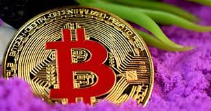 Bitcoin Vs Acoes De Bitcoin Qual Tem O Melhor Desempenho Money Times