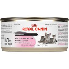 rcfhn babycat loaf 24 5 8oz cat food canned cat food wet cat food cat food