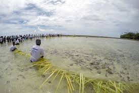 Maybe you would like to learn more about one of these? Faktor Pasang Surut Dan Bulan Mancing Kakap Putih Spotmancing Com