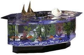 Buy products from prequalified suppliers at factory price. The 5 Best Aquarium Coffee Tables Reviews Buying Guide For 2021