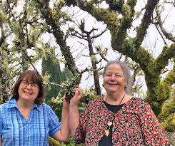 Well you're in luck, because here. Coast Chronicles Iding Pacific County S Heirloom Fruit Trees Opinion Chinookobserver Com