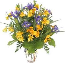We did not find results for: 18 Ideas For Fathers Day Fathers Day Father S Day Flowers Flower Arrangements