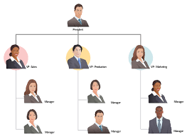 Companys Organizational Chart Organisation Chart Of