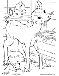 Cow in love coloring pages hellokids. Cows And Calves A Cute Baby Calf In The Barn Coloring Page Farm Animal Coloring Pages Coloring Books Cute Coloring Pages