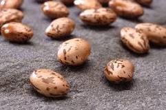 Image result