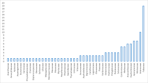 Image result for Crabbea cirsioides