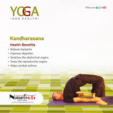 Kandharasana Yoga Techniques Yoga Asanas Yoga Benefits