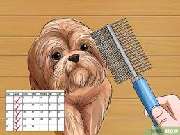 5.0 out of 5 stars. How To Prevent Matting In Dogs 9 Steps With Pictures Wikihow Pet