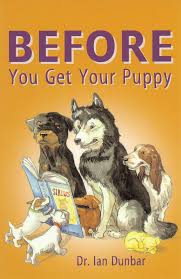 All the joys of heaven. Https Www Dogstardaily Com Files Before 20you 20get 20your 20puppy Pdf