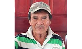 Elderly man dies in hit and run