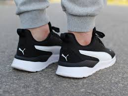 Image result for Puma 1200