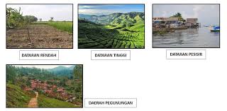 Check spelling or type a new query. Berdasarkan Masing Masing Gambar Di Atas Jawab Pertanyaan Berikut Ini 1 Bagaimana Pola Rumah Yang Brainly Co Id