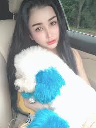 Chuyện về những chú chó đáng yêu của sao Việt