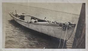 Image result for Elfenbein 1995 Fleet