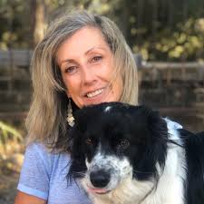 New England Patriots Player Performance and Expectations