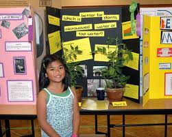 In The Spotlight Plant Science Fair Projects Science Fair Science Fair Projects Boards