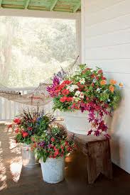 125 Container Gardening Ideas Porch Flowers Front Porch Flowers Container Gardening Flowers