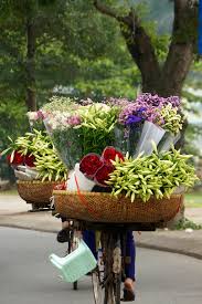 Và vẻ đẹp của hoa được tôn lên khi chúng được cắm trong những chiếc bình cao, cổ. Hoa Loa Ken Xuá»'ng Phá»' Vá»›i Gia Ráº» Báº¥t Ngá» La CÆ¡ Há»™i Ä'á»ƒ Chá»‹ Em Mua Sá»' LÆ°á»£ng Nhiá»u Vá» Nha Cáº¯m ChÆ¡i