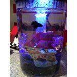 Hawkeye 3 Gallon 360 View Aquarium Kit With Led Lighting And Filtration Walmart Com Aquarium Kit Aquarium Set Lights Timer