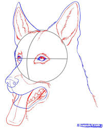 Https S Media Cache Ak0 Pinimg Com Originals 01 90 A0 0190a0a1e36fa856c103a5faeb5c27b3 Jpg German Shepherd Painting Dog Sketch Dog Paintings