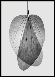 Black And White Art Prints Uk Wall Art With Scandinavian Design Buy Posters From Desenio Co Uk S Izobrazheniyami Nastennye Kartiny Kartiny