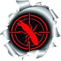 Proudly serving the pest control needs of our customers throughout volusia and flagler counties since 1991! Home All American Pest Services