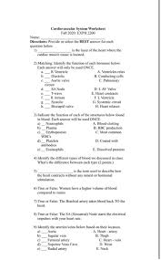 Image result for Cardiovascular Worksheets